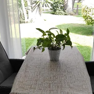 Aloha Paraíso , Torremolinos España