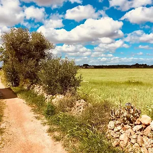 Arthouse Mit Haus Galeria 110qm Und Appartementhaus Mit Patio 30qm , Campos (Mallorca) España